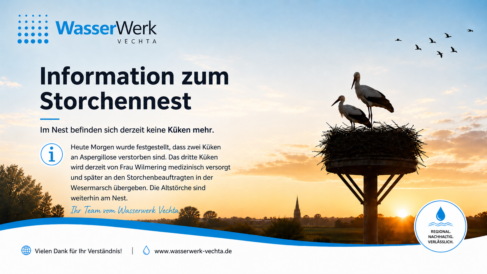 Storchencam aktuell nicht verfügbar – wir sind gleich wieder da